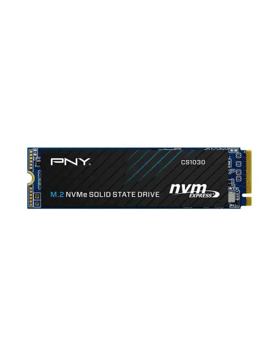 SSD 250GB M2 2280 PNY CS1030 NVMe NEW