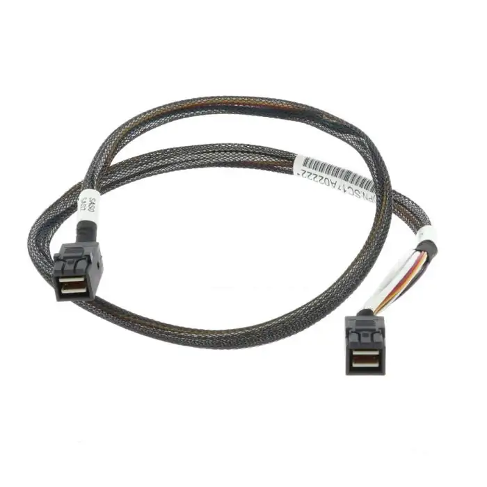 HBA HD to Cable C (MiniSAS-HD to MiniSAS-HD, 800mm) 02JK015