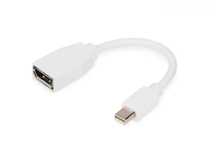 ADAPTER MINI DISPLAYPORT (M) TO DISPLAYPORT (F) NEW