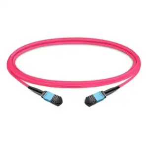 PATCH CABLE OM4 12 FIBERS TYPE B LSZH 1M  - Φωτογραφία