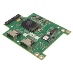 Data Domain - 2 Port SAS Controller WF0479014001 - Φωτογραφία