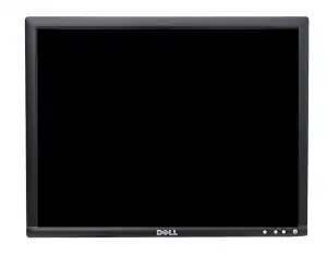MONITOR 19" TFT Dell E198FPB GB